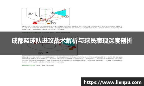 成都篮球队进攻战术解析与球员表现深度剖析