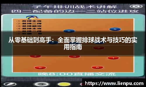 从零基础到高手：全面掌握排球战术与技巧的实用指南
